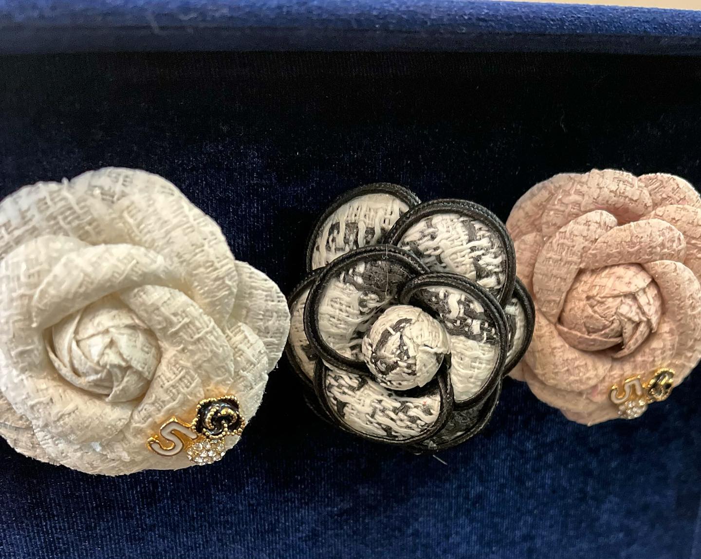 Camelia Brooch