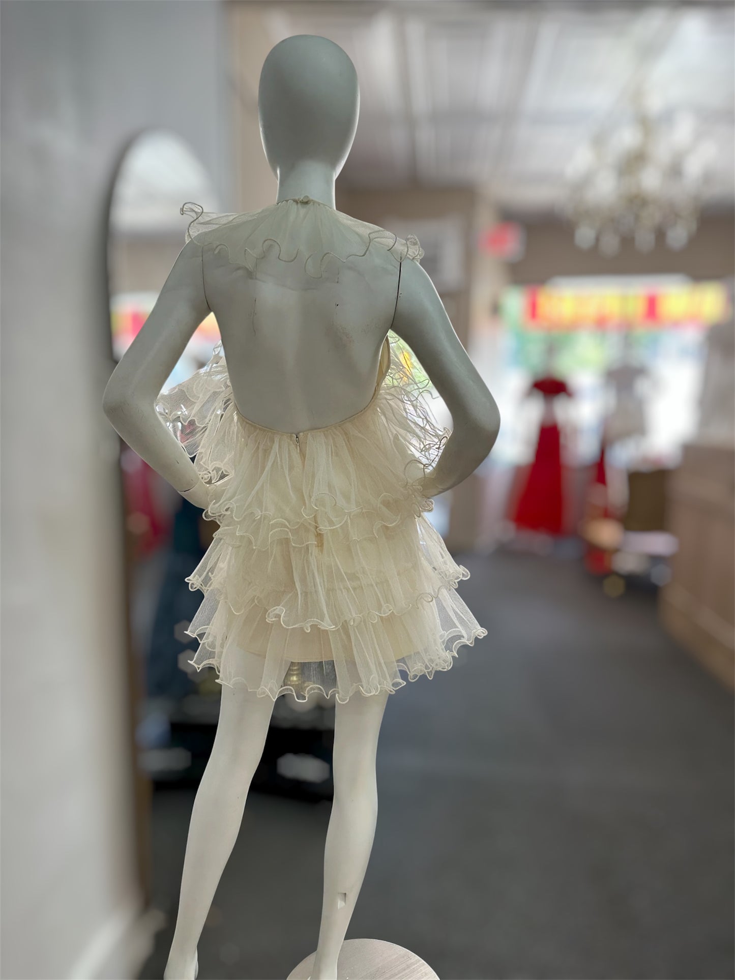 Parisian Tulle Dream Dress