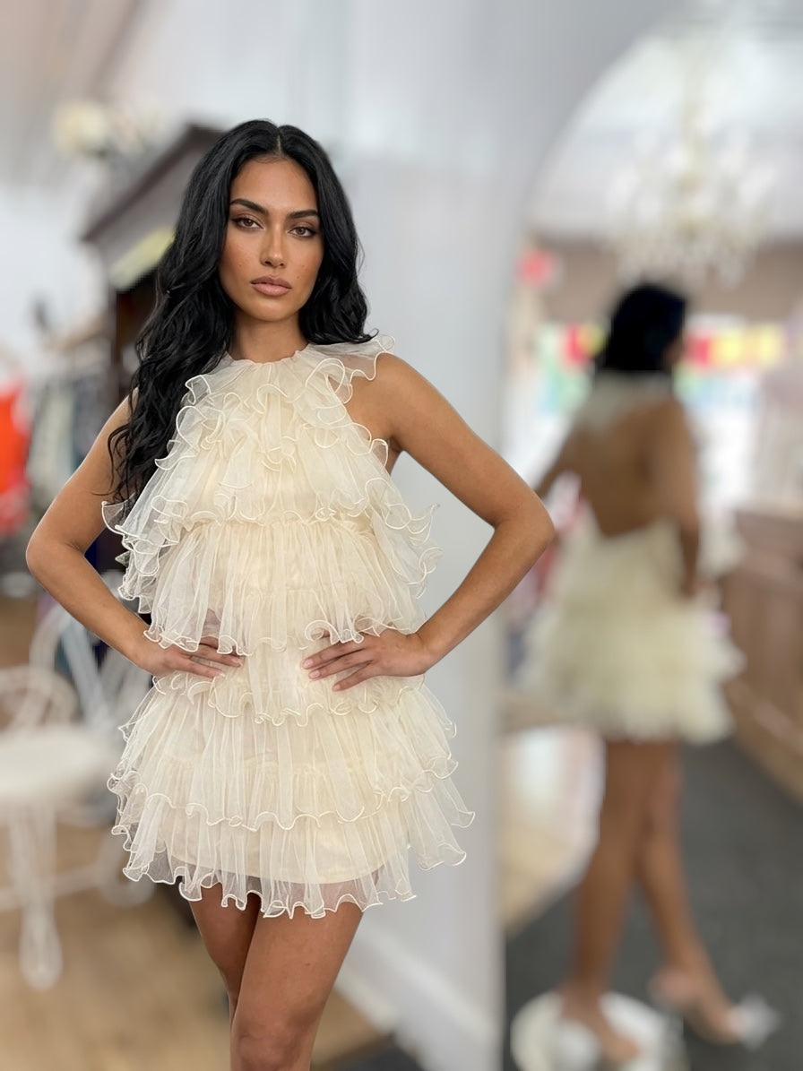 Parisian Tulle Dream Dress