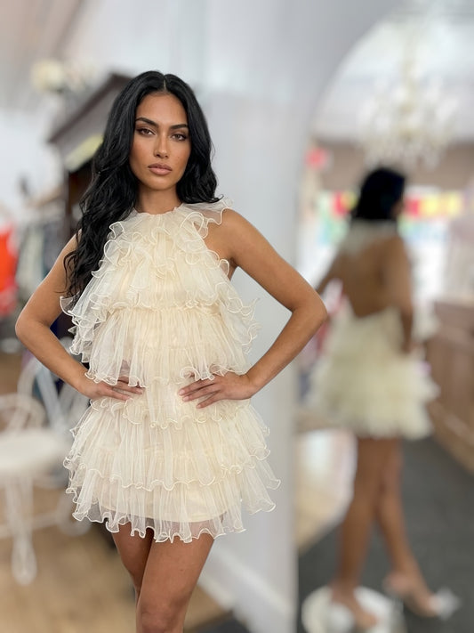 Parisian Tulle Dream Dress