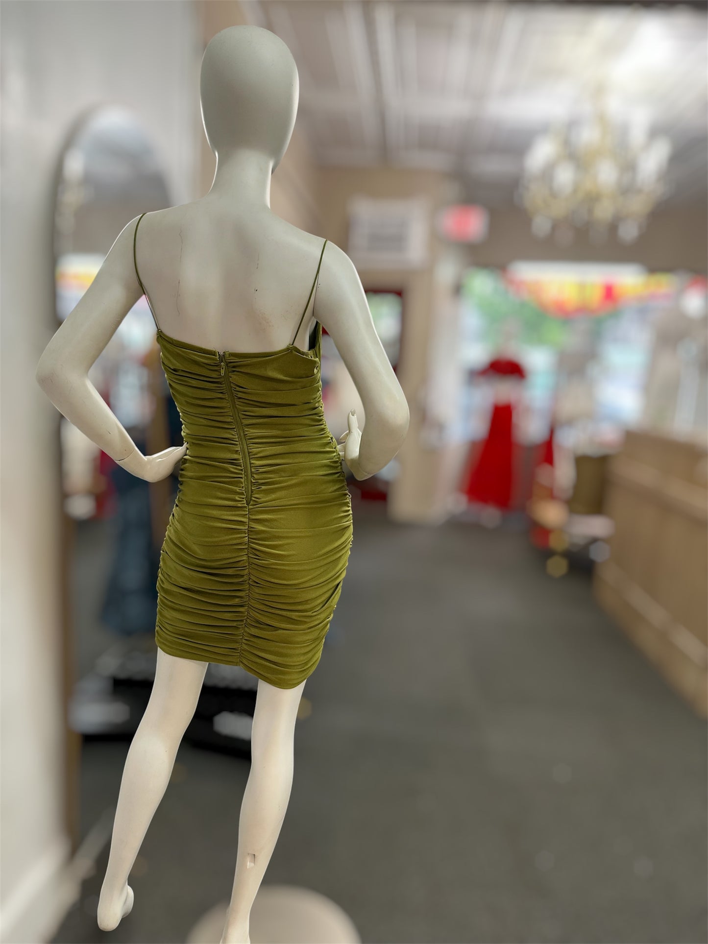 Midnight Olive Mini