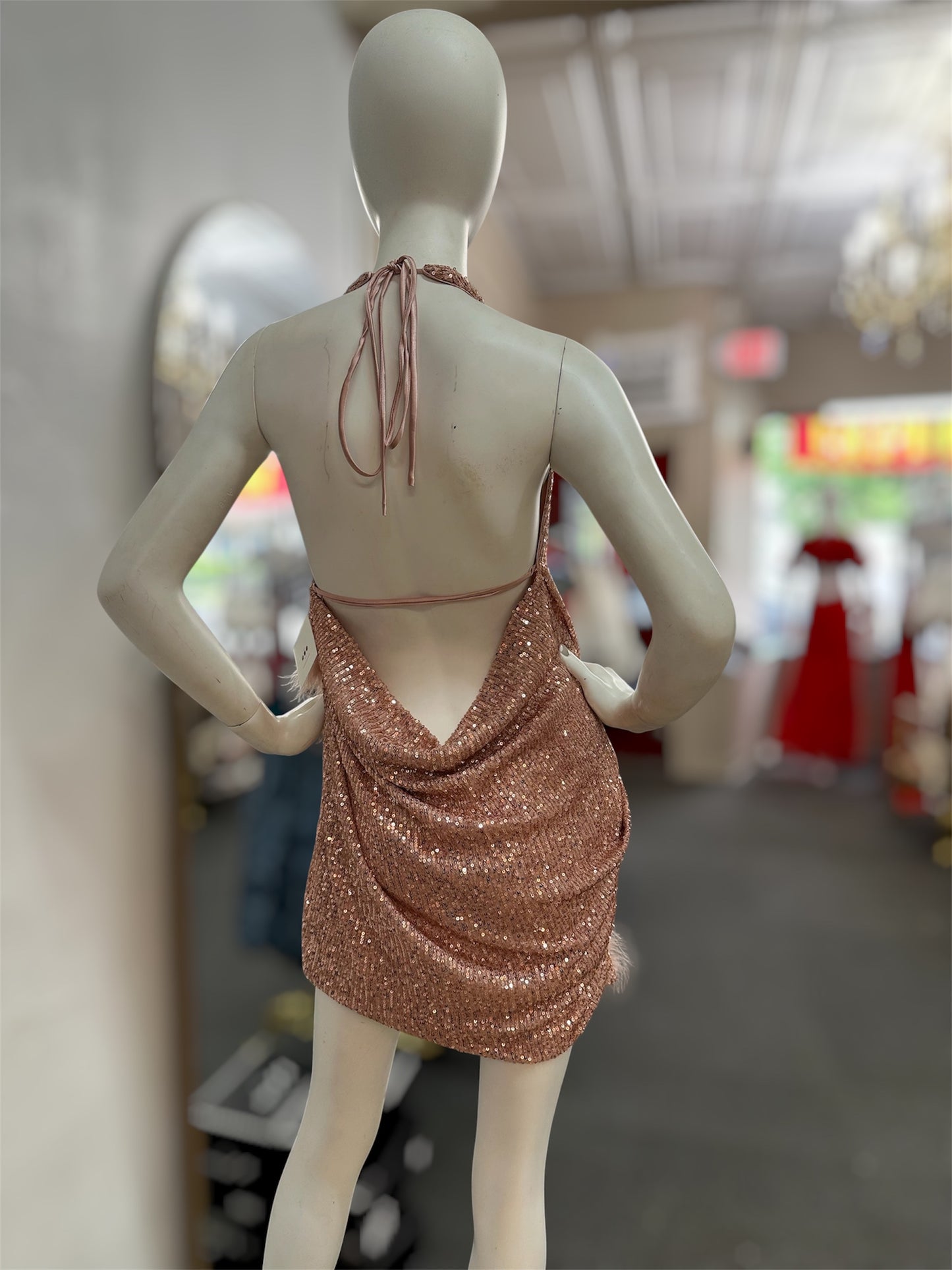 Blush After Dark Dress
